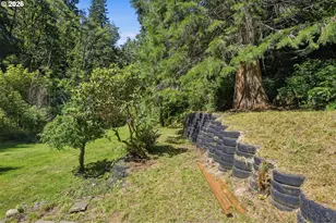 92681 Anderson Ln, Coos Bay, OR 97420 - Photo 6