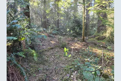 Greggs Creek Rd #300, Gold Beach, OR 97444 - Photo 6