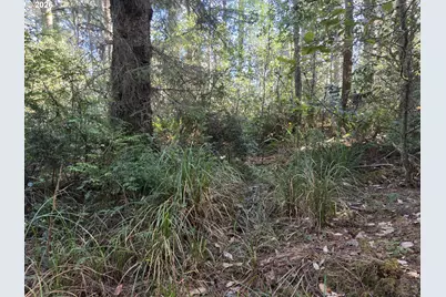 Greggs Creek Rd #300, Gold Beach, OR 97444 - Photo 14