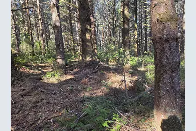 Greggs Creek Rd #300, Gold Beach, OR 97444 - Photo 40