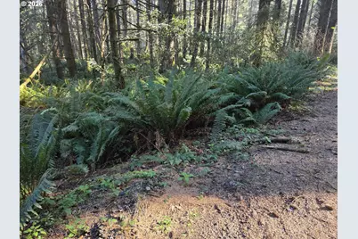 Greggs Creek Rd #300, Gold Beach, OR 97444 - Photo 4