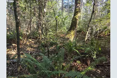 Greggs Creek Rd #300, Gold Beach, OR 97444 - Photo 16