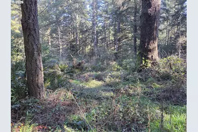 Greggs Creek Rd #300, Gold Beach, OR 97444 - Photo 22