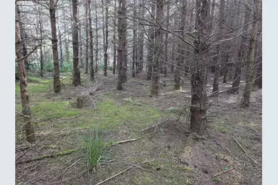 Greggs Creek Rd #300, Gold Beach, OR 97444 - Photo 42