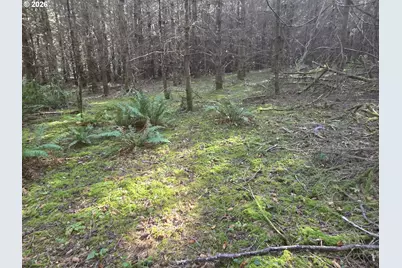 Greggs Creek Rd #300, Gold Beach, OR 97444 - Photo 30