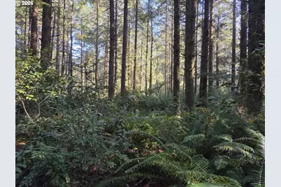 Greggs Creek Rd #300, Gold Beach, OR 97444 - Photo 4