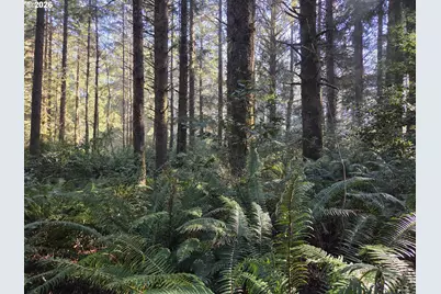 Greggs Creek Rd #300, Gold Beach, OR 97444 - Photo 10