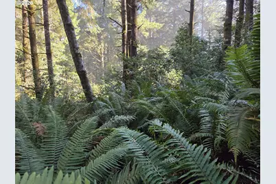 Greggs Creek Rd #300, Gold Beach, OR 97444 - Photo 20