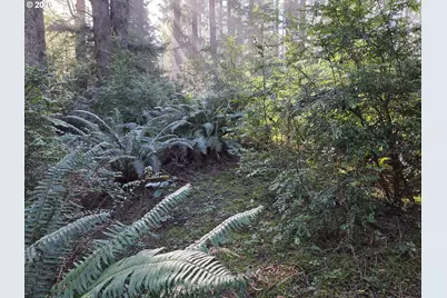 Greggs Creek Rd #300, Gold Beach, OR 97444 - Photo 8