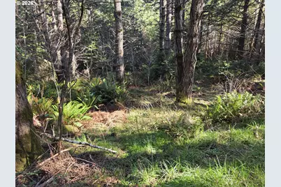 Greggs Creek Rd #300, Gold Beach, OR 97444 - Photo 24