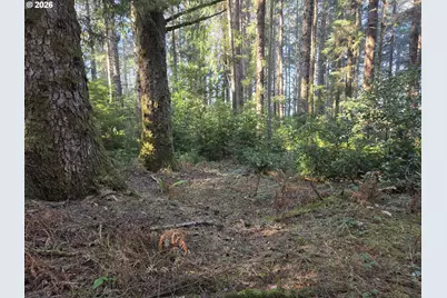 Greggs Creek Rd #300, Gold Beach, OR 97444 - Photo 12