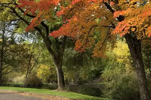 1718 NW Midlake Ln, Beaverton, OR 97006 - Photo 38