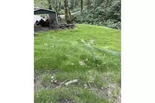 18820 NE Sunrise Ln, Yacolt, WA 98675 - Photo 44