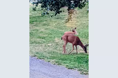 122 NE 4th St, Willamina, OR 97396 - Photo 38