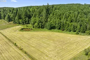 67856 Nehalem Hwy, Vernonia, OR 97064 - Photo 12