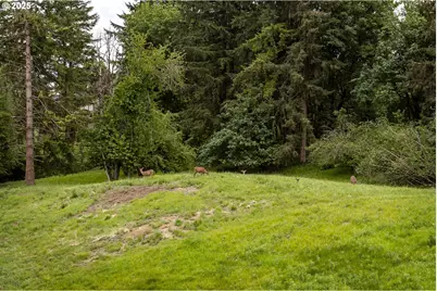 1100 NW 111th Cir, Vancouver, WA 98685 - Photo 28