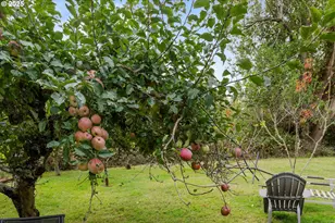 54124 Old Broadbent Rd, Myrtle Point, OR 97458 - Photo 32