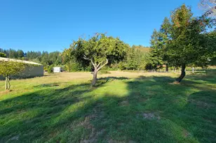 99616 Srs Rd, Brookings, OR 97415 - Photo 4