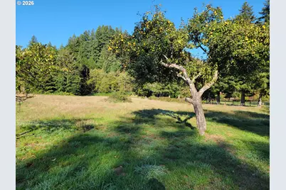 99616 Srs Rd, Brookings, OR 97415 - Photo 2
