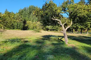 99616 Srs Rd, Brookings, OR 97415 - Photo 2