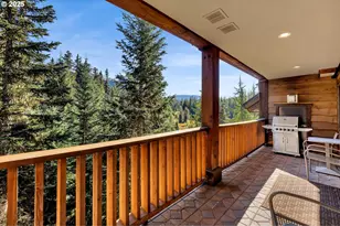 31254 E Collins Lake Rd, Government Camp, OR 97028 - Photo 16