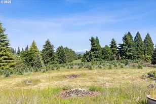 27616 SW 170th Ave, Sherwood, OR 97140 - Photo 28