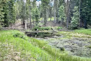 48497 Antelope Peak Rd, North Powder, OR 97867 - Photo 44