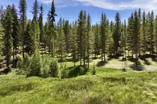 48497 Antelope Peak Rd, North Powder, OR 97867 - Photo 46