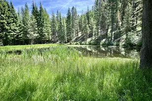 48497 Antelope Peak Rd, North Powder, OR 97867 - Photo 32