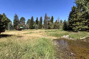 60035 Latigo Ln, Joseph, OR 97846 - Photo 26