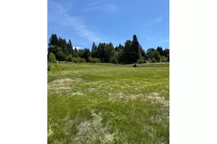 3 NE 144th St, Brush Prairie, WA 98606 - Photo 1