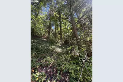 718 Lees Creek Rd, Myrtle Creek, OR 97457 - Photo 6