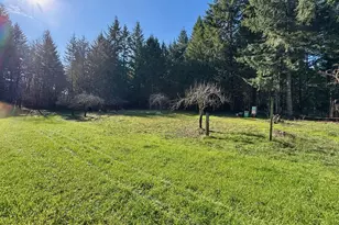 90416 Sheffler Rd, Elmira, OR 97437 - Photo 38