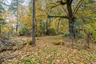 19493 Redwood Hwy, Selma, OR 97538 - Photo 12