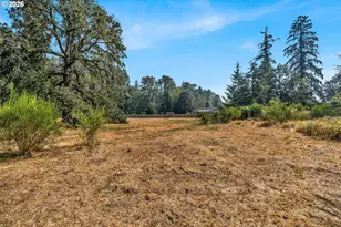 40203 NW Brown Dr, Woodland, WA 98674 - Photo 28