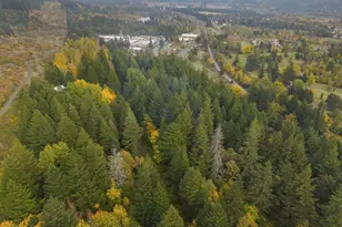 0 Warren Rd, North Bonneville, WA 98639 - Photo 1