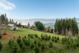 3900 NE 425th St, Woodland, WA 98674 - Photo 48