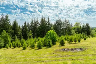3900 NE 425th St, Woodland, WA 98674 - Photo 38