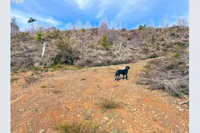 Upper Smith River Rd #TL1500, Reedsport, OR 97467 - Photo 46