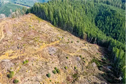 Upper Smith River Rd #TL1500, Reedsport, OR 97467 - Photo 8