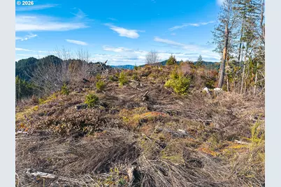 Upper Smith River Rd #TL1500, Reedsport, OR 97467 - Photo 30