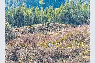 Upper Smith River Rd #TL1500, Reedsport, OR 97467 - Photo 44