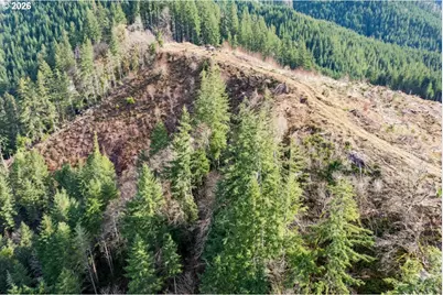 Upper Smith River Rd #TL1500, Reedsport, OR 97467 - Photo 4