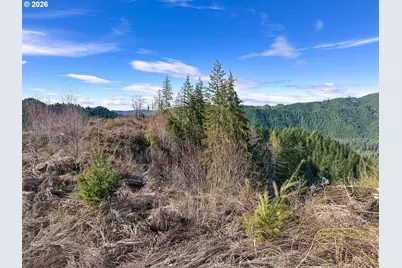 Upper Smith River Rd #TL1500, Reedsport, OR 97467 - Photo 28