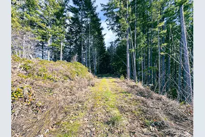 Upper Smith River Rd #TL1500, Reedsport, OR 97467 - Photo 48