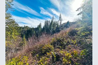 Upper Smith River Rd #TL1500, Reedsport, OR 97467 - Photo 34