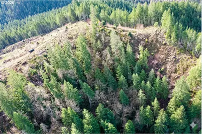 Upper Smith River Rd #TL1500, Reedsport, OR 97467 - Photo 18