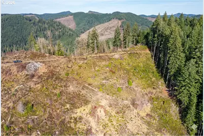 Upper Smith River Rd #TL1500, Reedsport, OR 97467 - Photo 6