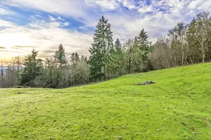 303 Shadow Mountain Rd, Silver Lake, WA 98645 - Photo 34