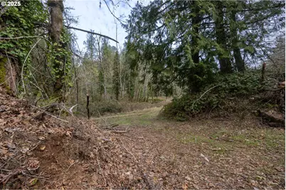Kenady Lane Lot 401, Cottage Grove, OR 97424 - Photo 20